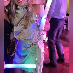 BRAND NEW WITH TAGS SAGE THATS SO FETCH DRESS SANTORINI MINI DRESS NEVER WORN